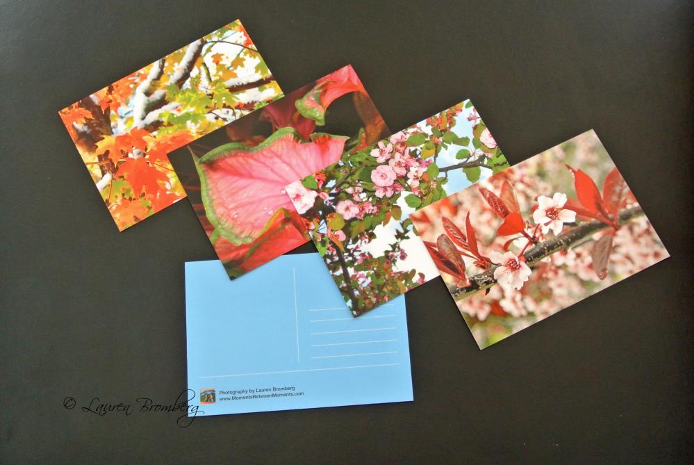 Set Of Four Flower Postcards